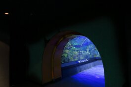 20201120_123326 null