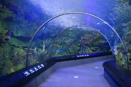 20201120_123331 null