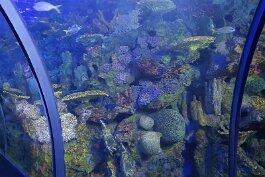 20201120_123338 null