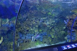 20201120_123340 null