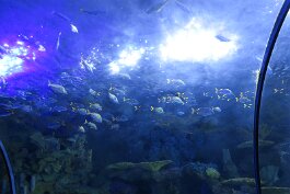 20201120_123357 null