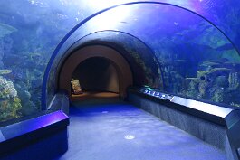 20201120_123359 null