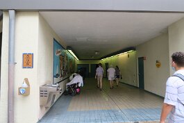 20201121_152959 null