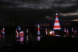 20201120_180204 null