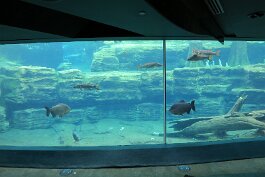 20201121_123346 null