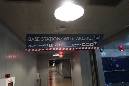 20201120_135550 null