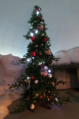 20201120_135617 null