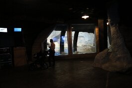 20201120_135645 null