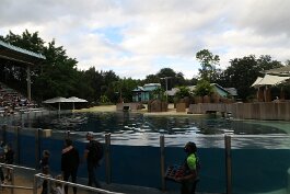 20211030_171744 null