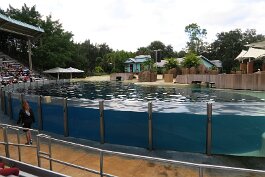 20211030_171928 null