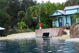 20211030_172604 null