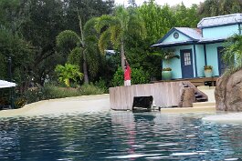 20211030_172607 null