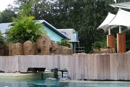 20211030_172901 null