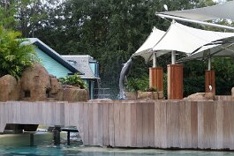 20211030_172939 null