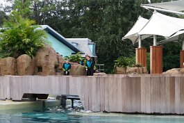 20211030_173138 null