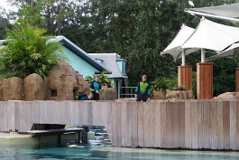 20211030_173202 null