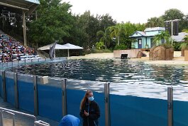 20211030_173215 null