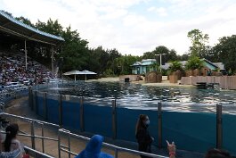 20211030_173218 null