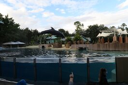 20211030_173222 null