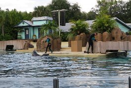 20211030_173235 null