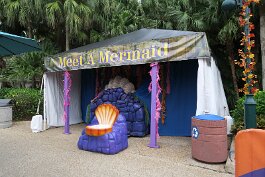 20211030_092456 null