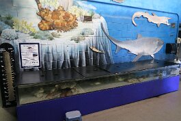 20211030_125743 null