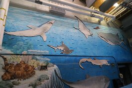 20211030_125748 null