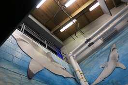 20211030_125759 null