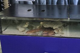 20211030_125851 null