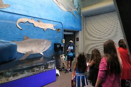 20211030_125900 null