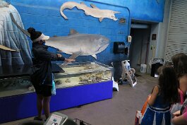 20211030_130034 null