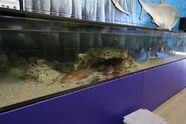 20211030_130451 null