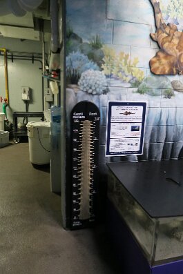 20211030_130509 null