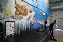 20211030_130516 null