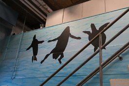 20211030_130607 null