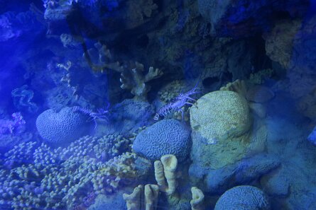 20211030_115750 null