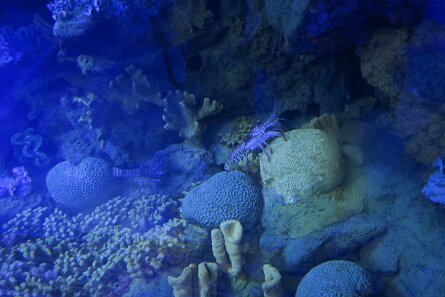 20211030_115751 null