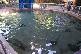 20211030_115316 null