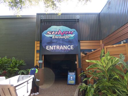 SharkEncounter
