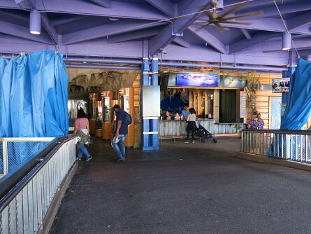 SharksUnderwaterGrill