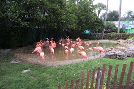 20211030_092305 null