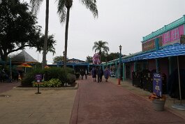 20211030_092453 null