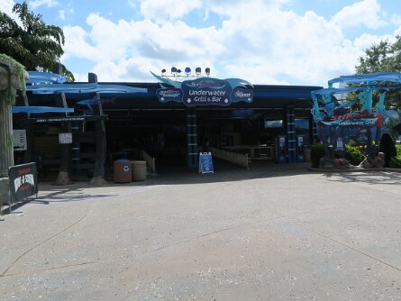 SharksUnderwaterBar