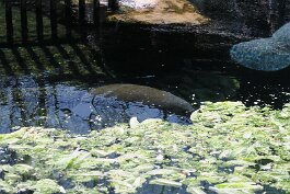 20240225_104622 null
