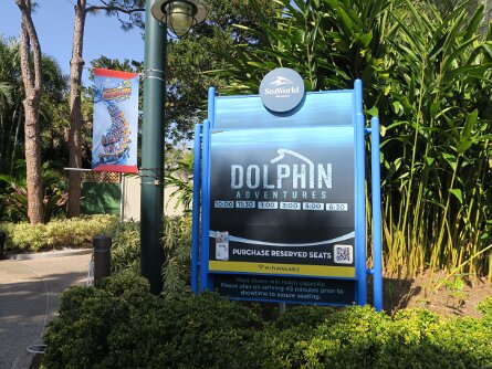 DolphinAdventures