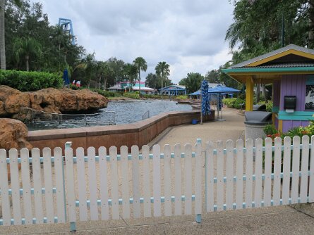 DolphinEncounter