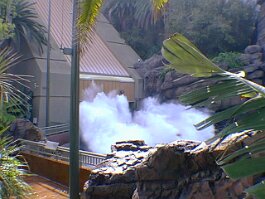 0319_010 null