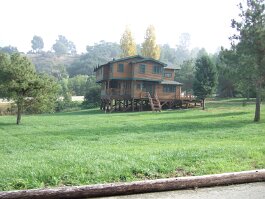 20081202_123356 null