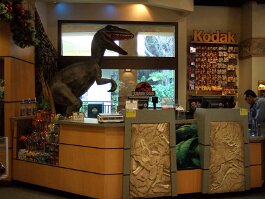 20081202_125744 null