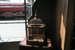 20180519_144228 null
